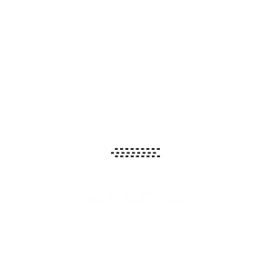 logo central lib